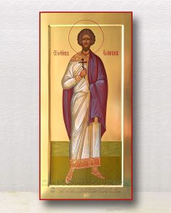 Икона «Емилиан мученик» Волгодонск